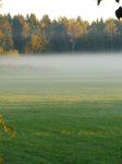 Landschaft